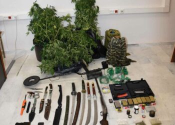 Γρεβενά: Σύλληψη 2 ατόμων για καλλιέργεια δενδρυλλίων κάνναβης