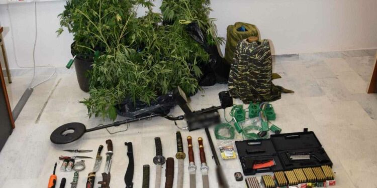 Γρεβενά: Σύλληψη 2 ατόμων για καλλιέργεια δενδρυλλίων κάνναβης