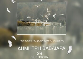 Δήμος Κοζάνης: Τα «Πουλιά της λίμνης Πολυφύτου» τη Δευτέρα 29 Σεπτεμβρίου 2025 στην Κοβεντάρειο Δημοτική Βιβλιοθήκη Κοζάνης