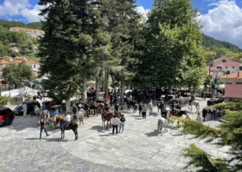 Eορδαία: 6η Ορεινή Ιππική συνάντηση Βλάστης