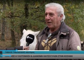 Ξεκίνησε η διάθεση καυσόξυλων στα ορεινά χωριά του Βοΐου