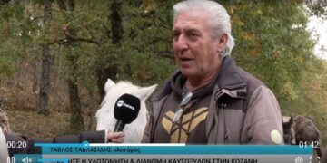 Ξεκίνησε η διάθεση καυσόξυλων στα ορεινά χωριά του Βοΐου