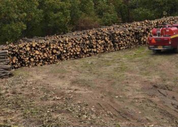 Διπλάσια ποσότητα καυσόξυλων στους κατοίκους της Δημοτικής Κοινότητας Μεταξά