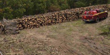 Διπλάσια ποσότητα καυσόξυλων στους κατοίκους της Δημοτικής Κοινότητας Μεταξά