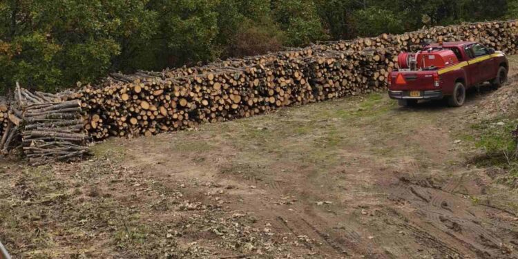 Διπλάσια ποσότητα καυσόξυλων στους κατοίκους της Δημοτικής Κοινότητας Μεταξά