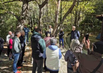Επιτυχής ολοκλήρωση της δράσης «Δάσος για Όλους: Εκδρομή Ευαισθητοποίησης, Ενημέρωσης και Δασοθεραπείας» στο Σκεπασμένο Βελβεντού
