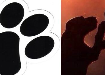 Έγιναν οι εκλογές στον Φιλοζωικό Σύλλογο Σιάτιστας “Η Ευθύνη”