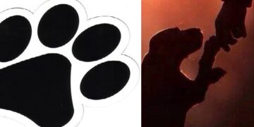 Έγιναν οι εκλογές στον Φιλοζωικό Σύλλογο Σιάτιστας “Η Ευθύνη”