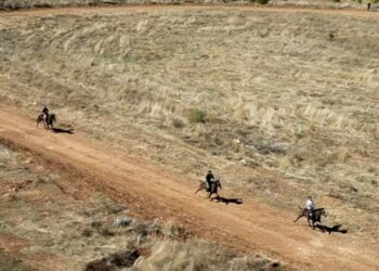 Σιάτιστα: Πραγματοποιήθηκαν οι 15οι Ευθύμιοι Ιππικοί αγώνες.  Βίντεο