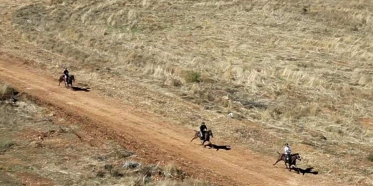 Σιάτιστα: Πραγματοποιήθηκαν οι 15οι Ευθύμιοι Ιππικοί αγώνες.  Βίντεο