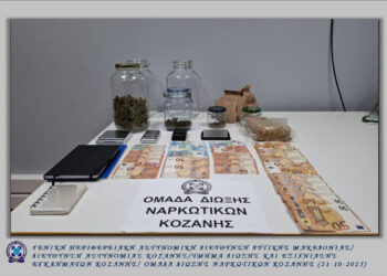 Κοζάνη: Σύλληψη 28χρονου με αρχαία και ναρκωτικά