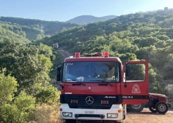 Καστοριά: Επιχείρηση διάσωσης κυνηγόσκυλου που έπεσε σε γκρεμό μαζί με 10 αγριογούρουνα