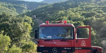 Καστοριά: Επιχείρηση διάσωσης κυνηγόσκυλου που έπεσε σε γκρεμό μαζί με 10 αγριογούρουνα