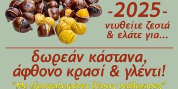 Δήμος Βοΐου: Καστανογιορτή στη Δαμασκηνιά