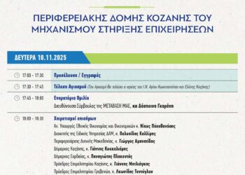 Εγκαίνια Περιφερειακής Δομής Κοζάνης του Μηχανισμού Στήριξης Επιχειρήσεων, παρουσία του υφ.Νίκου Παπαθανάση