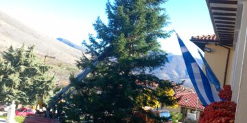 Σιάτιστα: Το Χριστουγεννιάτικο δέντρο πήρε τη θέση του. Φωτογραφίες