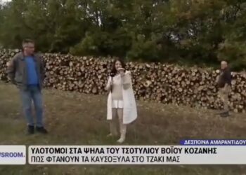 Βόιο: Συνεχίζεται η προμήθεια σε καυσόξυλα. Τι λέει ο αντιδήμαρχος Παναγιώτης Τζακόπουλος. Βίντεο