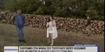 Βόιο: Συνεχίζεται η προμήθεια σε καυσόξυλα. Τι λέει ο αντιδήμαρχος Παναγιώτης Τζακόπουλος. Βίντεο