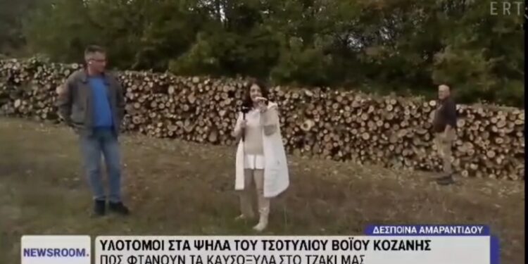 Βόιο: Συνεχίζεται η προμήθεια σε καυσόξυλα. Τι λέει ο αντιδήμαρχος Παναγιώτης Τζακόπουλος. Βίντεο