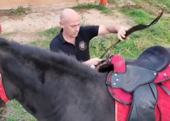 Σιάτιστα: Αφιέρωμα στα αραβανίσια άλογα στο, όπου υπάρχει Ελλάδα του ΣΚΑΙ. Βίντεο