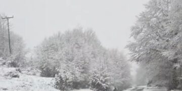 Τα πρώτα χιόνια στα ορεινά της Καστοριάς. Βίντεο