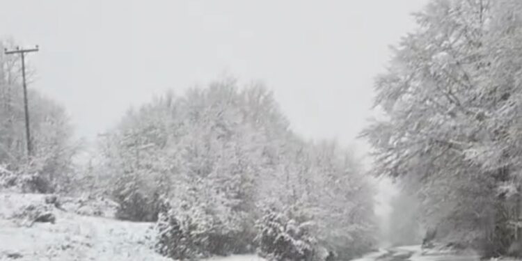 Τα πρώτα χιόνια στα ορεινά της Καστοριάς. Βίντεο