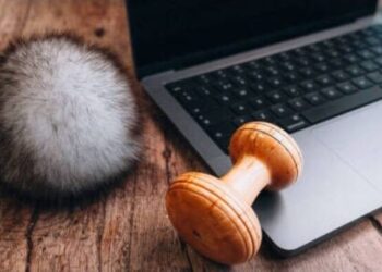 Saga Furs: Online Δημοπρασία Δεκεμβρίου 2025