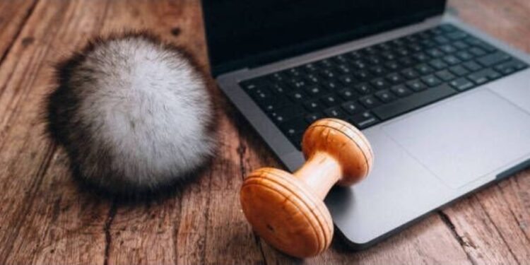 Saga Furs: Online Δημοπρασία Δεκεμβρίου 2025