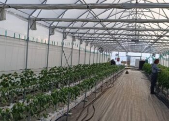 Φλώρινα: Πειραματικά γεωθερμικά θερμοκήπια από το Τμήμα Γεωπονίας