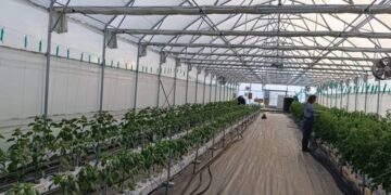 Φλώρινα: Πειραματικά γεωθερμικά θερμοκήπια από το Τμήμα Γεωπονίας