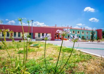 Ευχαριστήριο από τους Λαμπηδόνες