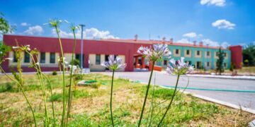 Ευχαριστήριο από τους Λαμπηδόνες