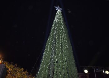 Δήμος Καστοριάς: Έναρξη Εορταστικής Περιόδου με τη Φωταγώγηση του Χριστουγεννιάτικου Δέντρου στην Πλατεία Ομονοίας
