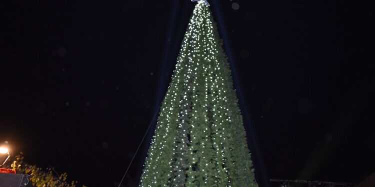 Δήμος Καστοριάς: Έναρξη Εορταστικής Περιόδου με τη Φωταγώγηση του Χριστουγεννιάτικου Δέντρου στην Πλατεία Ομονοίας