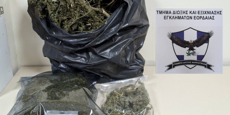 Πτολεμαΐδα: Συνελήφθη 60χρονος για καλλιέργεια και κατοχή ναρκωτικών ουσιών