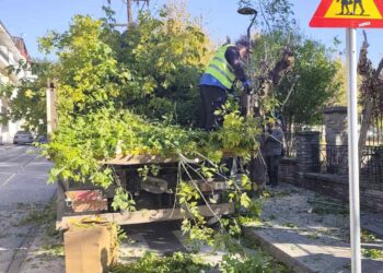 Δήμος Γρεβενών: Εργασίες κλάδευσης στις οδούς πέριξ της Πλατείας Ελευθερίας (Λαχαναγορά) την Τρίτη 2/12