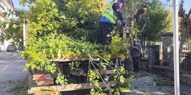 Δήμος Γρεβενών: Εργασίες κλάδευσης στις οδούς πέριξ της Πλατείας Ελευθερίας (Λαχαναγορά) την Τρίτη 2/12