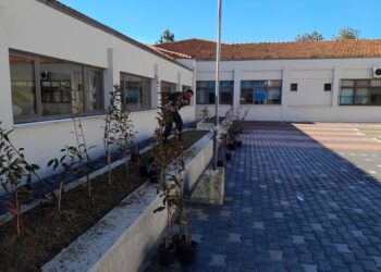 Ευχαριστήρια επιστολή προς τον Δήμαρχο Βοΐου από το Γυμνάσιο – Λύκειο Νεάπολης