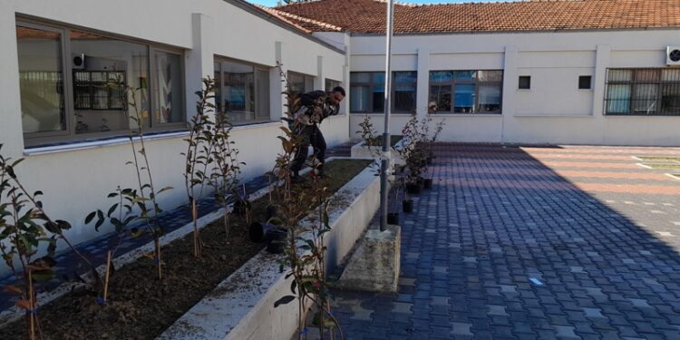 Ευχαριστήρια επιστολή προς τον Δήμαρχο Βοΐου από το Γυμνάσιο – Λύκειο Νεάπολης