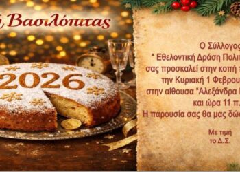 Σιάτιστα: Κοπή Βασιλόπιτας από την Εθελοντική Δράση