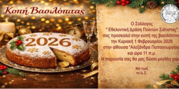 Σιάτιστα: Κοπή Βασιλόπιτας από την Εθελοντική Δράση