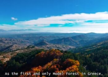 Βίντεο για το Πρότυπο Δάσος Δυτικής Μακεδονίας. Ανάμεσα στα δάση Βοΐου και Βελβεντού