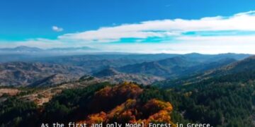 Βίντεο για το Πρότυπο Δάσος Δυτικής Μακεδονίας. Ανάμεσα στα δάση Βοΐου και Βελβεντού