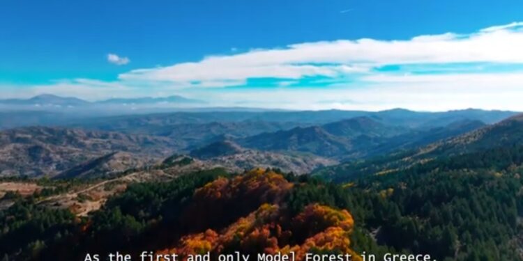 Βίντεο για το Πρότυπο Δάσος Δυτικής Μακεδονίας. Ανάμεσα στα δάση Βοΐου και Βελβεντού