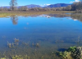 Ο κάμπος της Νεάπολης στο «έλεος» των πλημμυρών – Σε απόγνωση οι αγρότες. Βίντεο