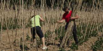 «Κυριακή στο Χωριό Ξανά»: Σισάνι Βοΐου με Νέο Επεισόδιο στις 08/02