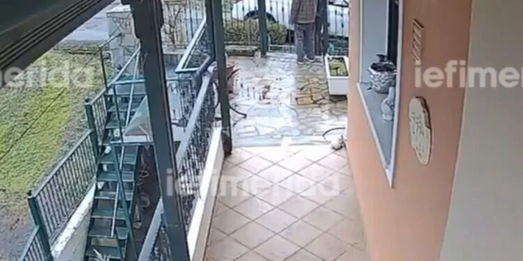Γρεβενά: Γυναίκα αγκαλιάζει ηλικιωμένο και κλέβει την αλυσίδα – Δείτε βίντεο ντοκουμέντο