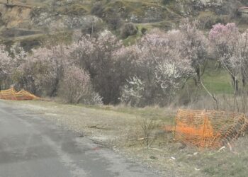 Σιάτιστα: Φωτίζεται ο περιφερειακός και ο κεντρικός δρόμος