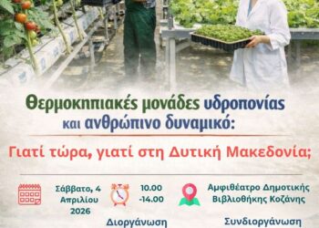 Θερμοκήπια υδροπονίας στη Δυτική Μακεδονία: Γιατί τώρα, γιατί εδώ και ποιες ευκαιρίες ανοίγονται 