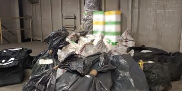 Πάνω από -200- κιλά κάνναβης καταστράφηκε σε περιοχή της Κοζάνης